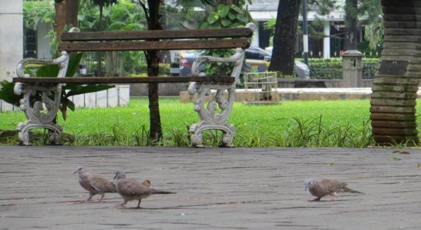 Sofyan Hotel Soepomo Jakarta Kültér fotó